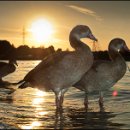 Foto-Forum BEFO-2014-  024